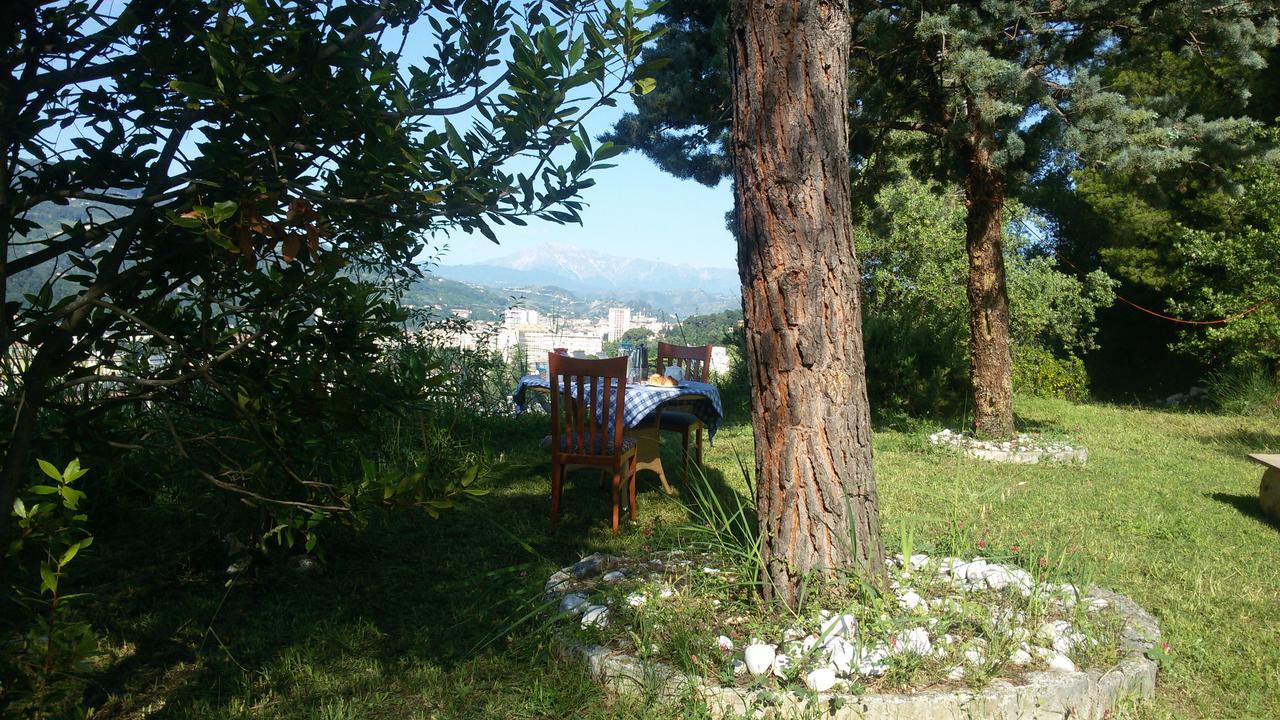 Bed and Breakfast Parco Dei Gelsomini Асколи-Пичено Экстерьер фото